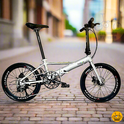 Fnhon Monsoon 22-Inch Folding Bike – Polished Silver Frame for a Timeless Look
