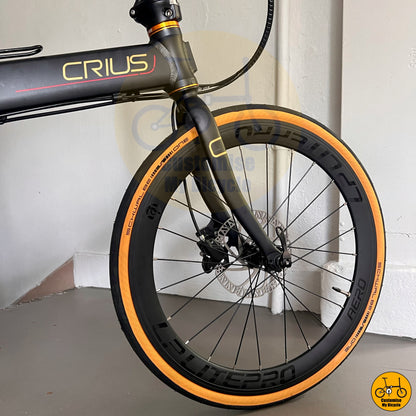 Crius Master 22” • Shimano 10s • Matte Black + Gold