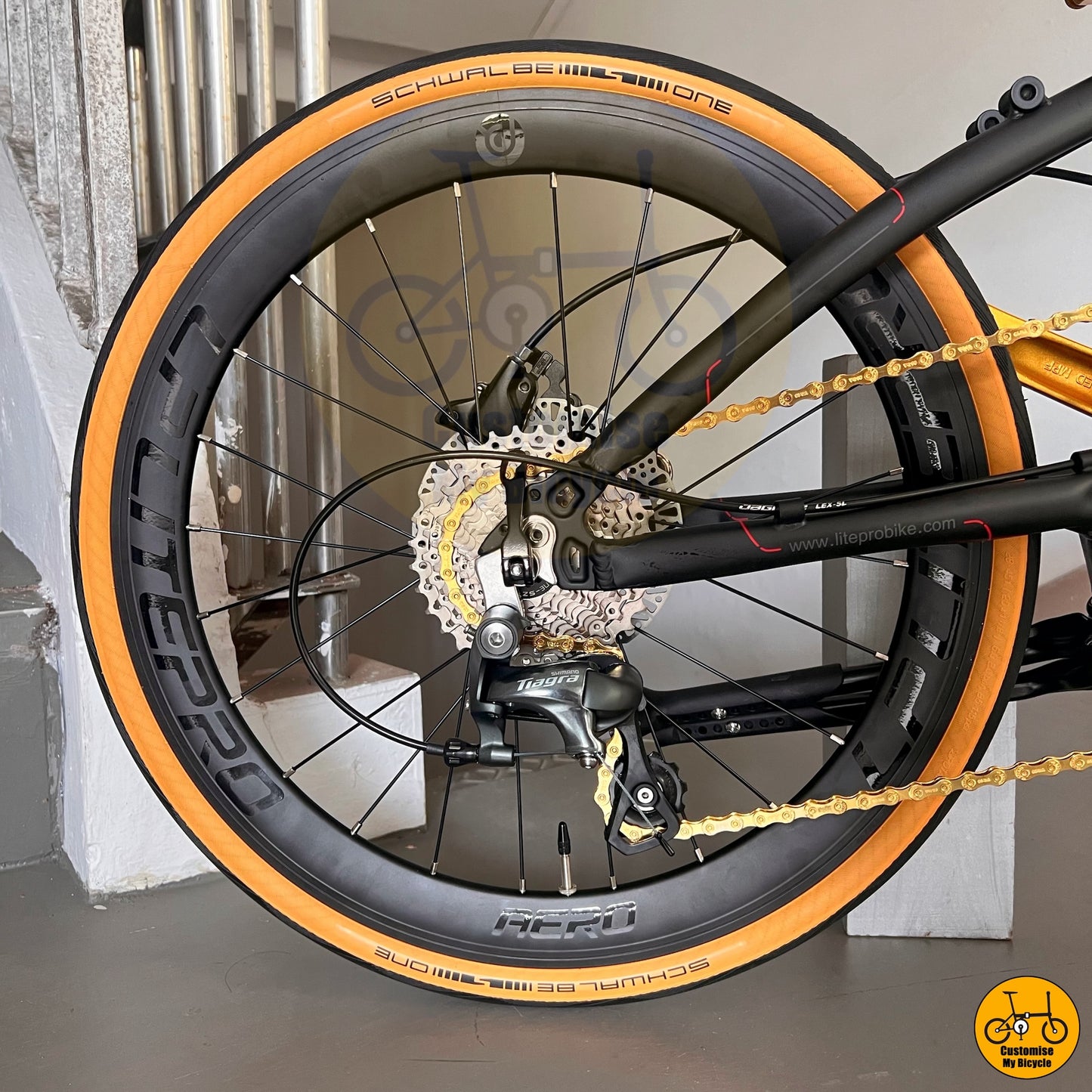 Crius Master 22” • Shimano 10s • Matte Black + Gold