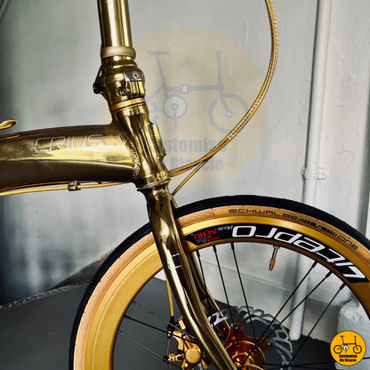 Crius Velocity 22” • Shimano 10s • Vibrant Gold