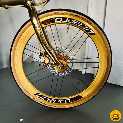 Crius Velocity 22” • Shimano 10s • Vibrant Gold