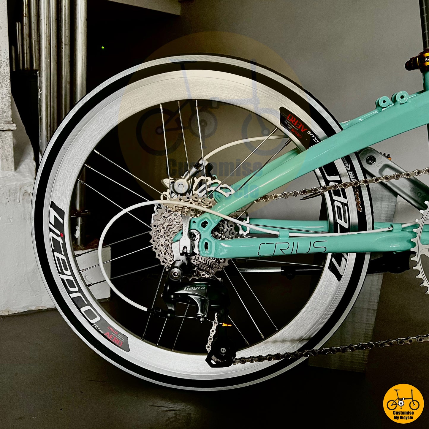 Crius Velocity 22” • Shimano 10s • Bianchi Green