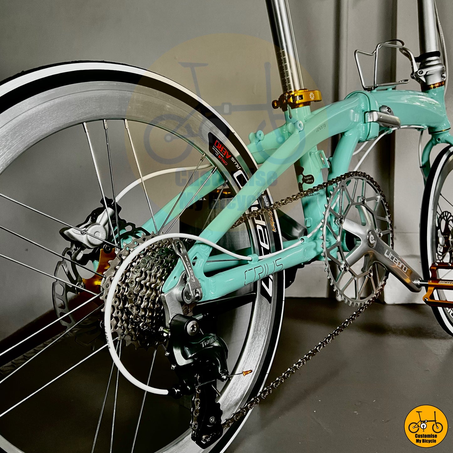 Crius Velocity 22” • Shimano 10s • Bianchi Green