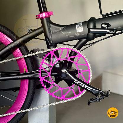 Close up of Litepro crank on Fnhon Blast
