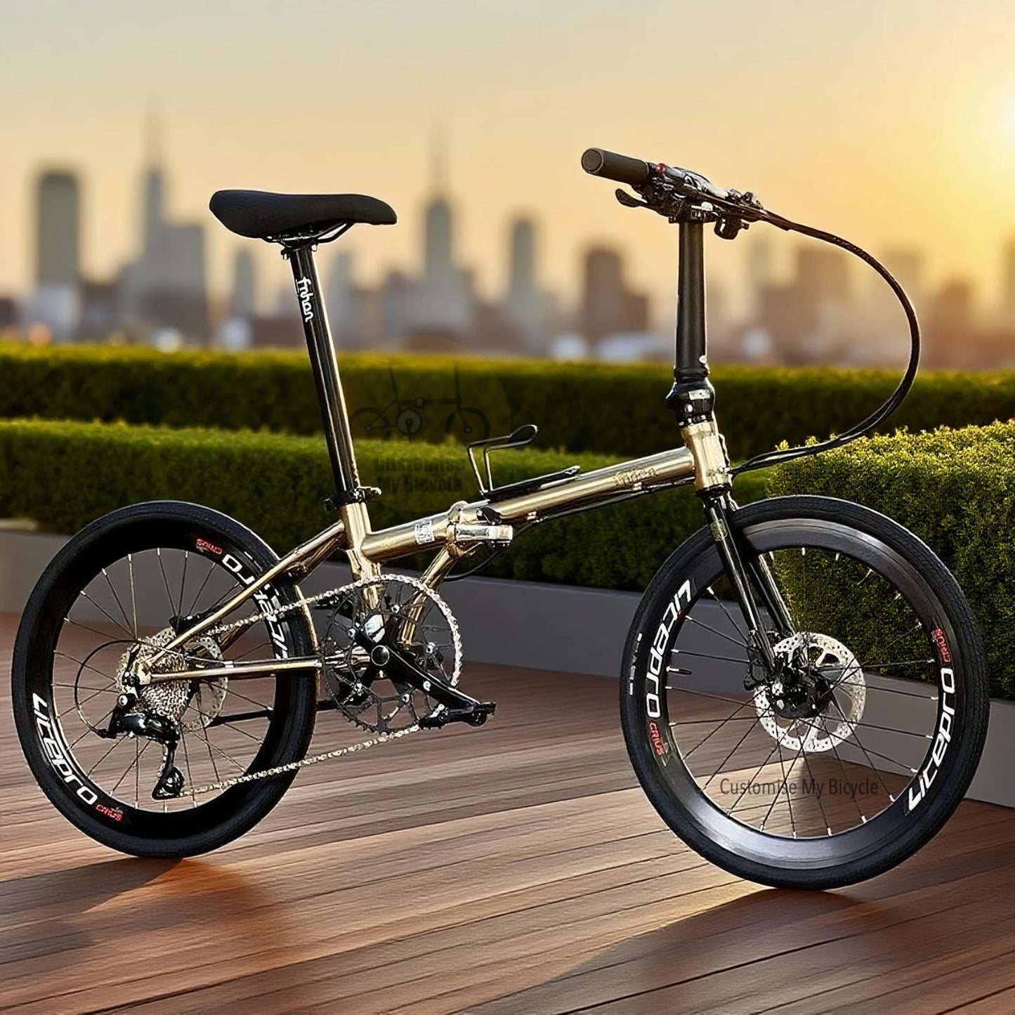 Fnhon Gust 22 Inch Titanium Gold Folding Bike Shimano 9 Speed Hydraulic Brake Litepro
