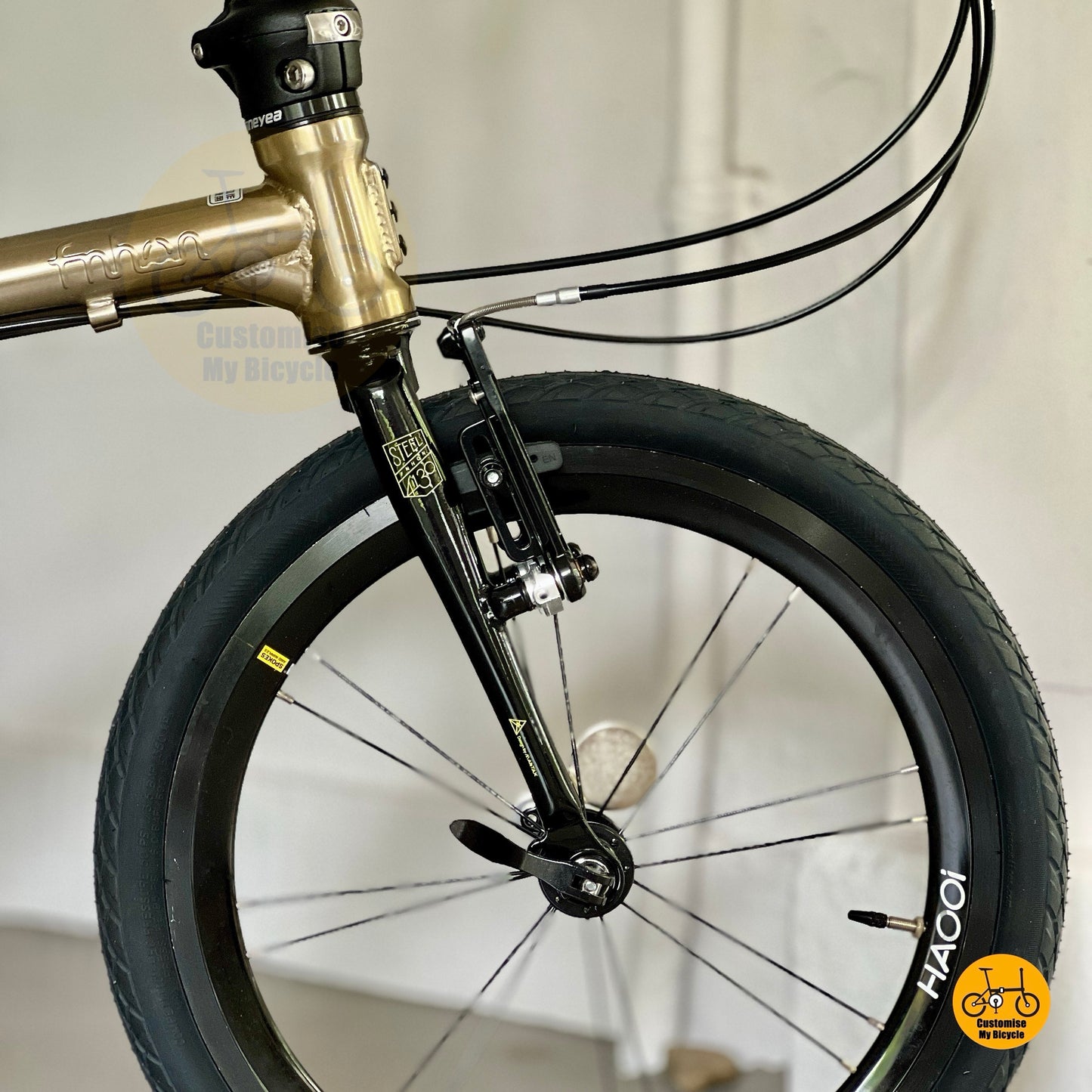 Front angle of Fnhon Gale showing HAOOI aero high profile wheels and CST tyres
