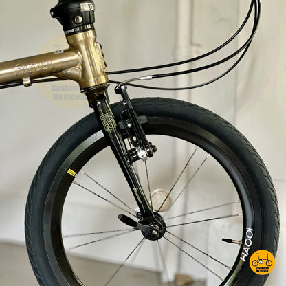 Front angle of Fnhon Gale showing HAOOI aero high profile wheels and CST tyres
