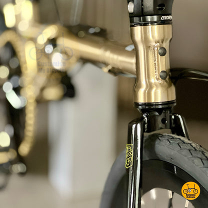 Front block on Fnhon Gust 18 Inch Titanium Gold Folding Bike With Shimano 9 Gears And Chromoly Steel Frame
