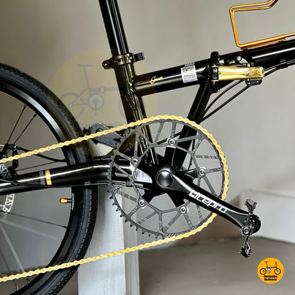 foldie with shimmering gold highlights  
