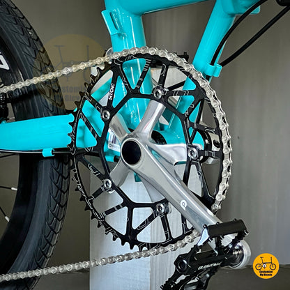 Silver Litepro crank on Fnhon Gust folding bike
