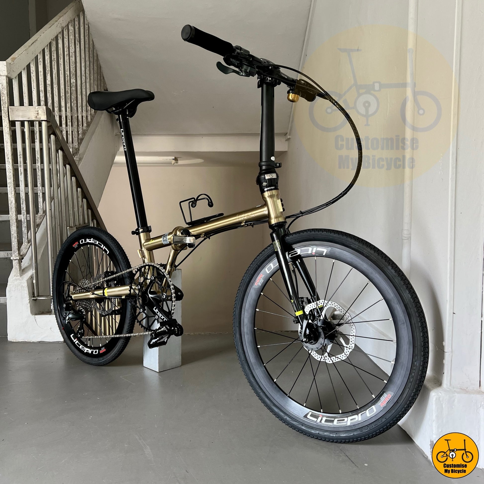 Best Folding Bike: Fnhon Gust 22" Folding Bike – Lightweight Titanium Gold for Smooth Commutes
