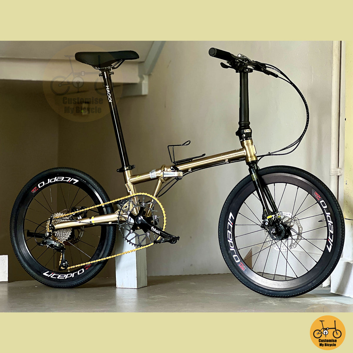 Fnhon Gust 22" Titanium Gold foldable bicycle with Shimano 9 gears