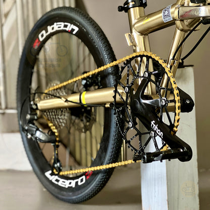 Fnhon Gust 22" Titanium Gold foldable bicycle with Shimano 9 gears
