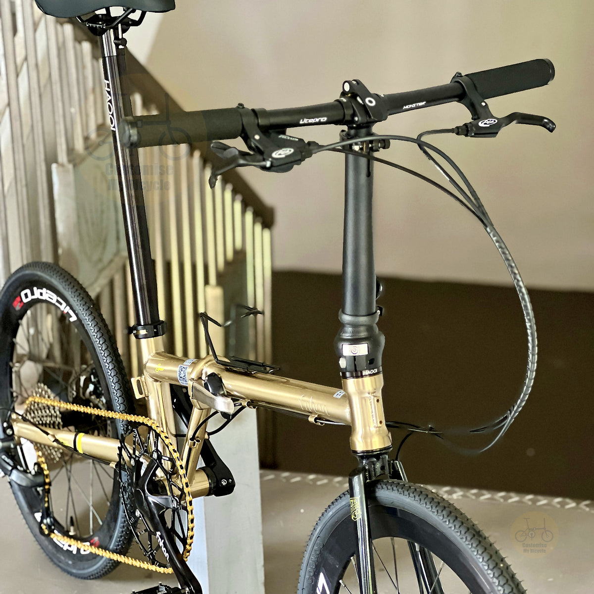 Fnhon Gust 22" Titanium Gold foldable bicycle with Shimano 9 gears