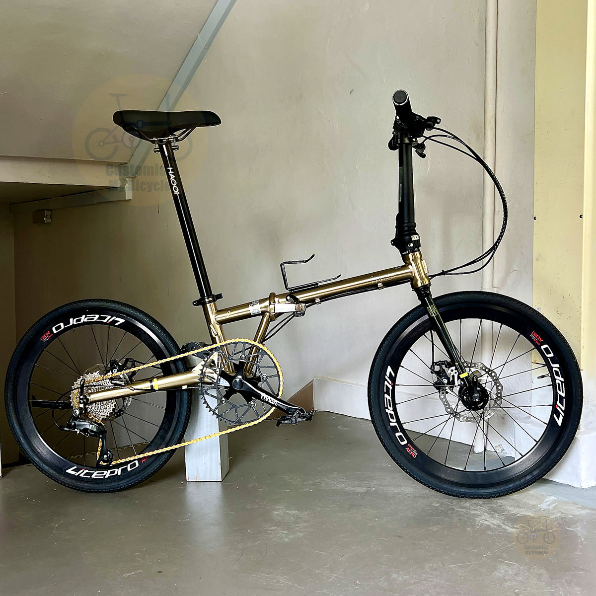 Fnhon Gust 22 inch Titanium Gold 折叠自行车 搭配 Shimano 9 gears 轻量便携设计