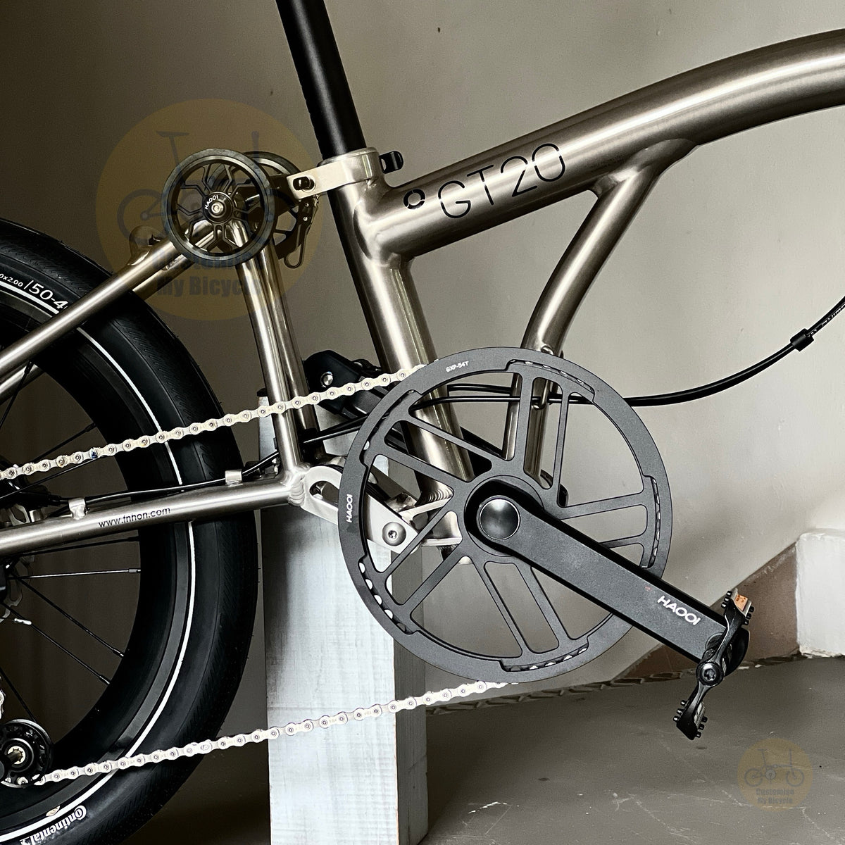 Close-up of a bicycle frame and drivetrain, showing a matte metallic silver frame with black components, including a chainring, chain, and rear wheel. The frame has 'GT20' and 'HOCO' branding visible.