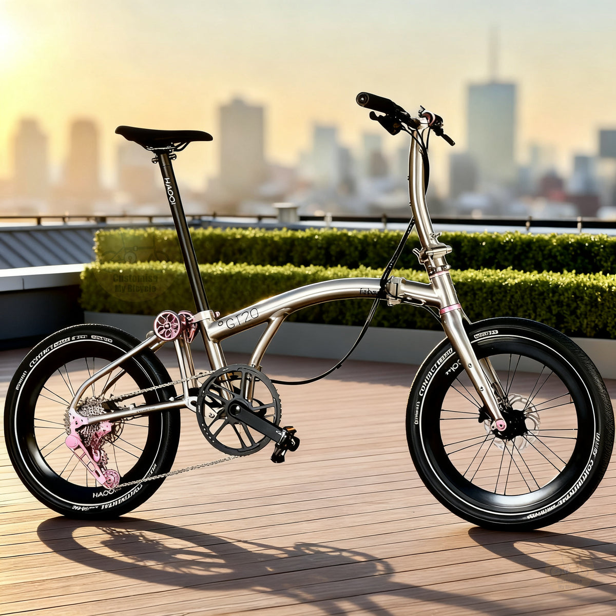 Fnhon GT20 20" Metallic Titanium lightweight folding bike with Dedicated 10 Gears