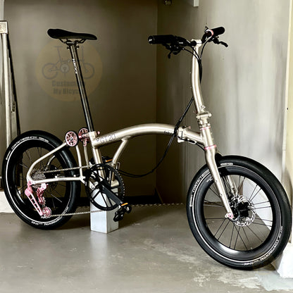 Fnhon GT20 20" Metallic Titanium foldable bicycle with Dedicated 10 Gears