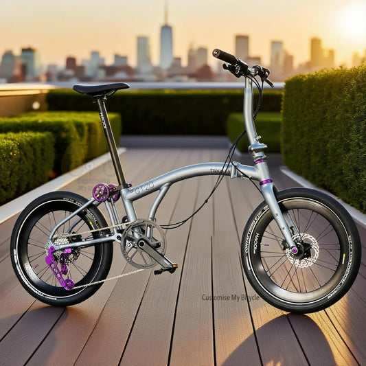 Folding Bike Fnhon GT20 20 Inch Shimano 10 Speeds Titanium Grey Aerodynamic Foldable Bicycle With Hydraulic Disc Brake Singapore
