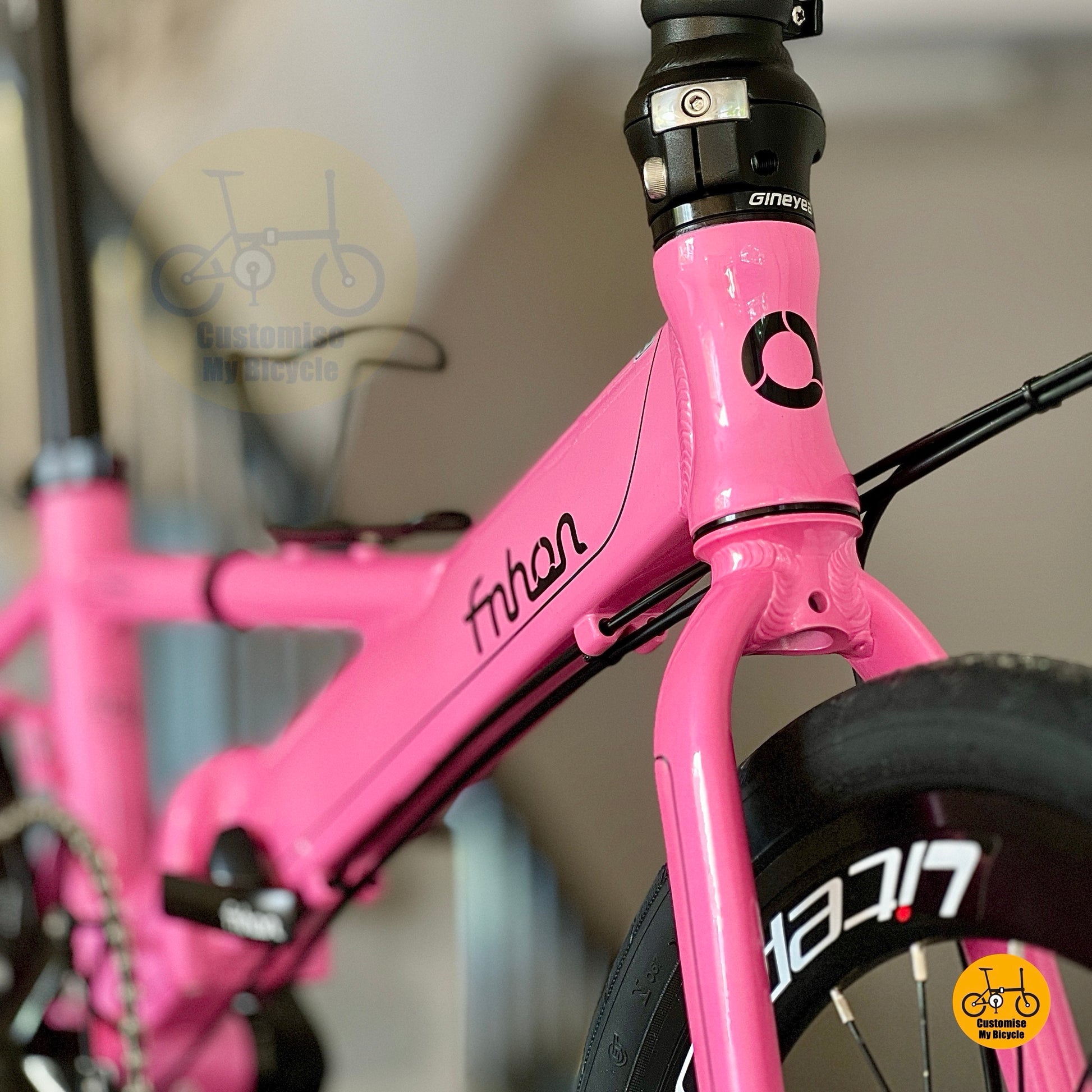 Front angled shot showing Litepro aero high profile wheels on Fnhon Monsoon Hot Pink
