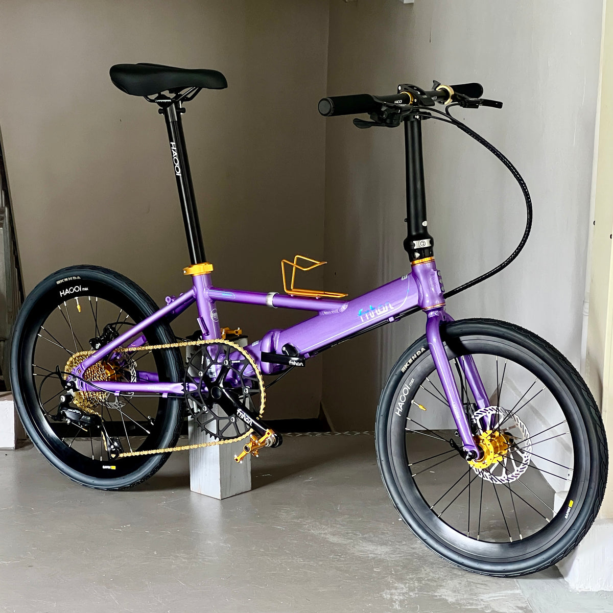 Fnhon Monsoon 22" Lavender Purple foldable bicycle with Shimano 9 gears