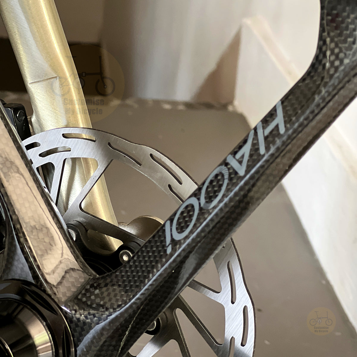 Fnhon Monsoon 22" Titanium Champagne folding bike frame material colour detail