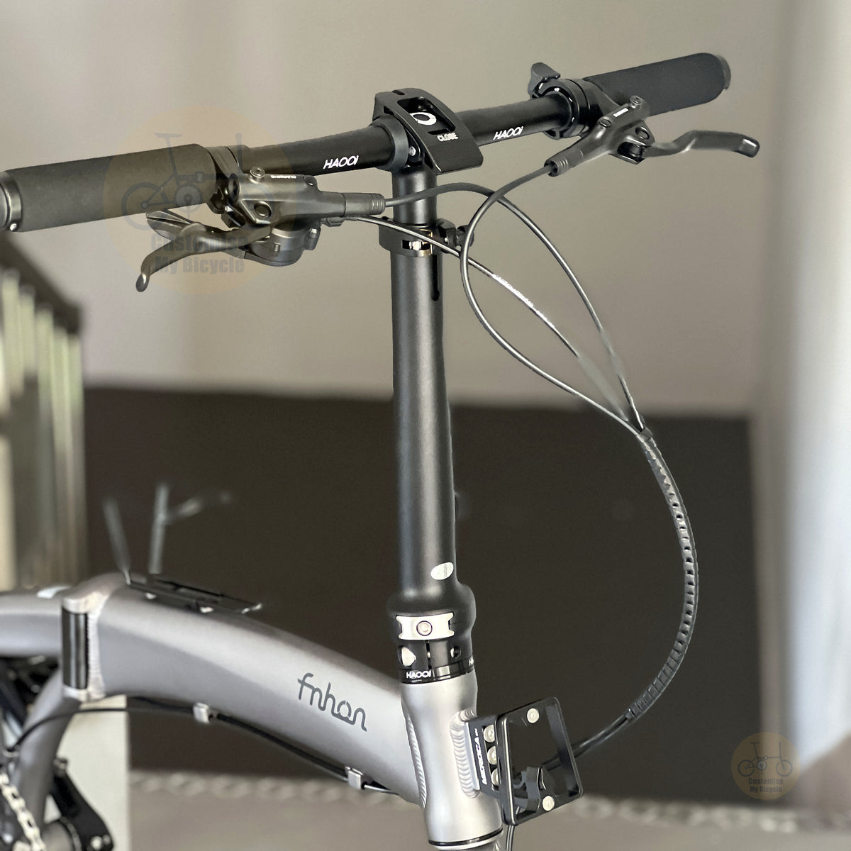 Fnhon Tornado 20" Carbon Grey folding bike with SHIMANO hydraulic disc brake