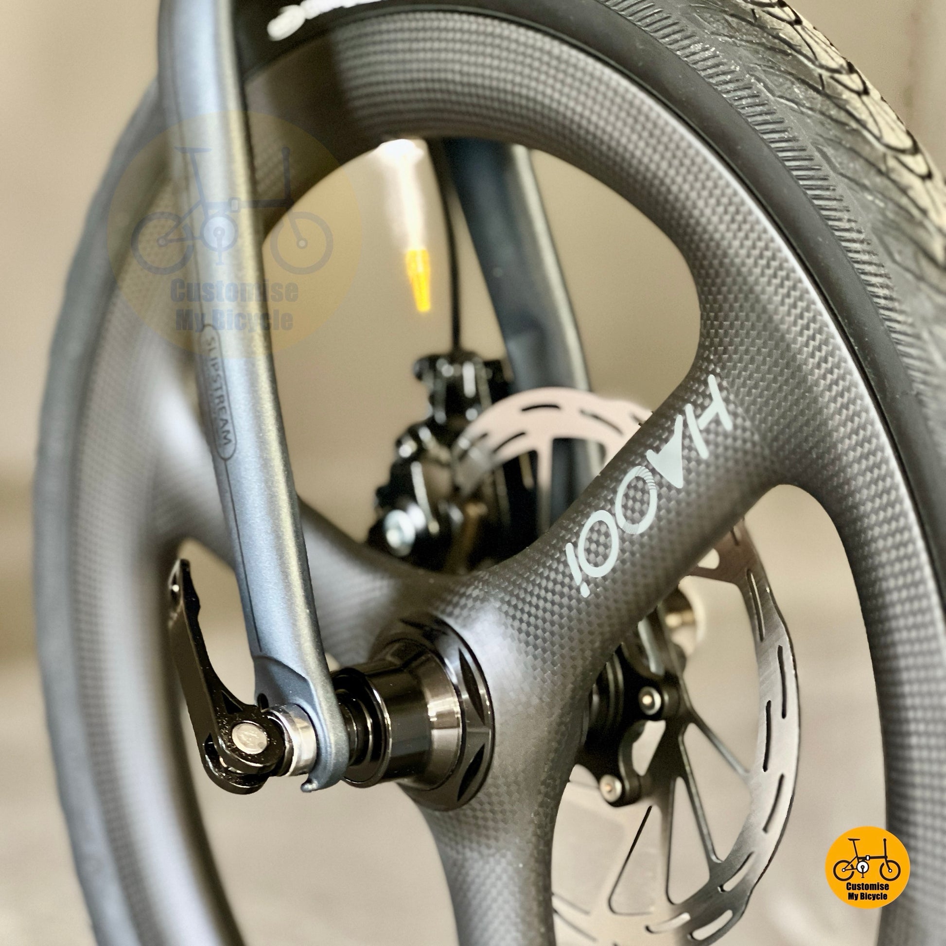 Fnhon Zephyr folding bike close up HAOOI carbon trispokes front wheels & fast rolling tyres

